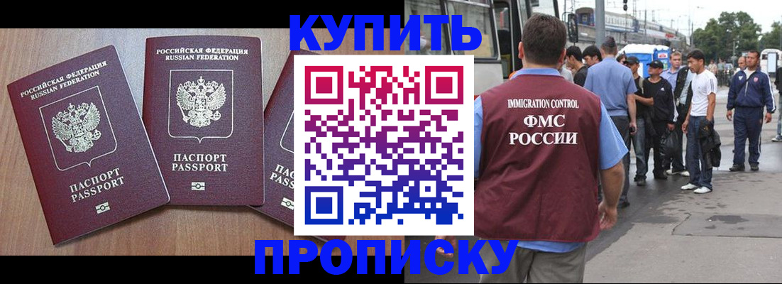 прописка 2025 в Звенигово